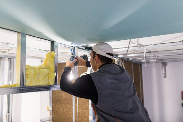 Best Insulation Maintenance and Repair in Marion, MS