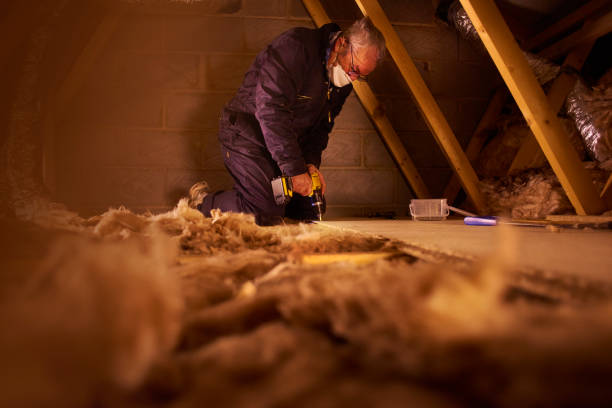 Best Insulation Installation Services in Marion, MS