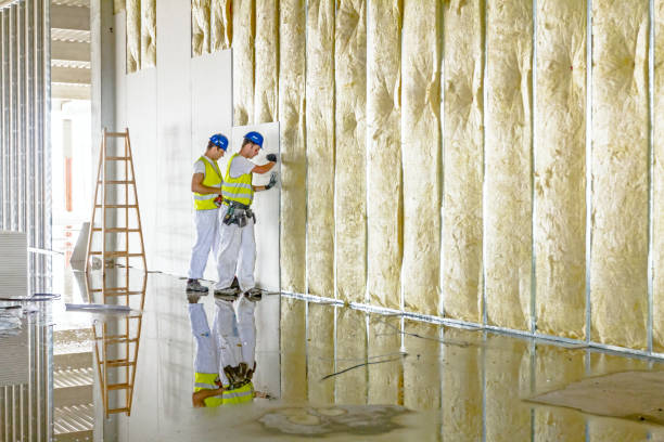 Best Commercial Insulation in Marion, MS